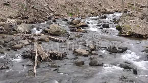 佐治亚州阿莫科拉瀑布阿莫科拉溪瀑布和反射池视频的预览图