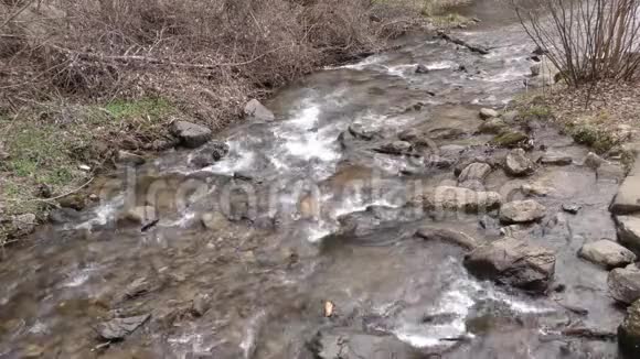 佐治亚州阿莫科拉瀑布从小倒影池瀑布上方的景色视频的预览图