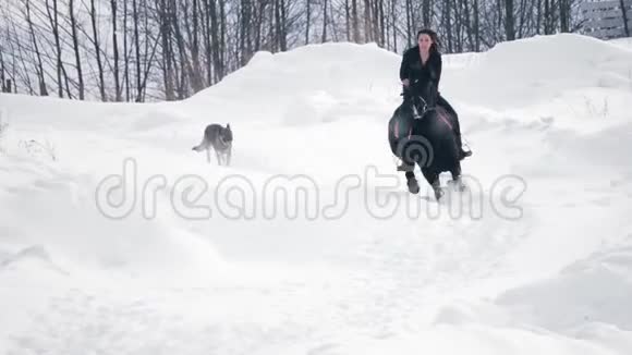 迷人的长发女骑手骑着一匹黑色的马穿过冬天的田野狗在附近奔跑视频的预览图