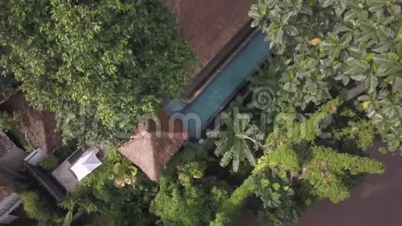 热带自然中部的度假胜地鸟瞰游泳池开放区域视频的预览图