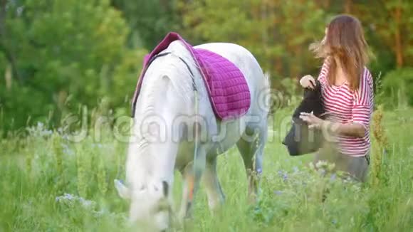 在夏天的田野里年轻女子把马鞍固定在马上视频的预览图