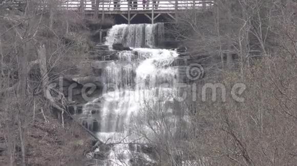 佐治亚州阿莫科拉瀑布从倒影池上俯瞰阿莫科拉瀑布视频的预览图