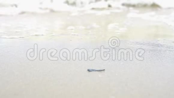 海潮一种热带海滩海浪拍打在沙滩上暑假录像片段视频的预览图