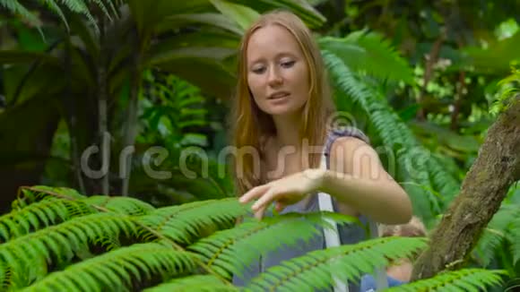 年轻女子和她的儿子参观了一个热带植物园蕨类植物视频的预览图
