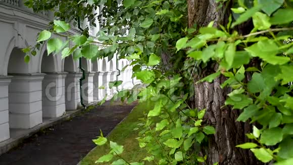 大片绿叶树背景上有圆形拱门的老建筑视频的预览图
