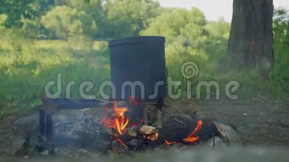 大锅在森林中营火上的缓慢运动视频的预览图