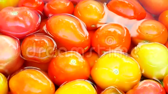 把洗西红柿的手举起来蔬菜和干净的水视频的预览图