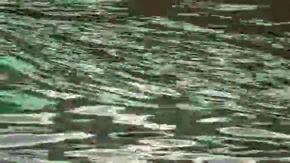 河流水背景与城市倒影视频的预览图