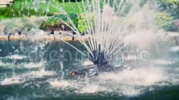 喷泉全方位喷水视频的预览图