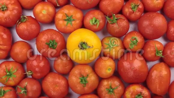 用露珠旋转一堆西红柿视频的预览图