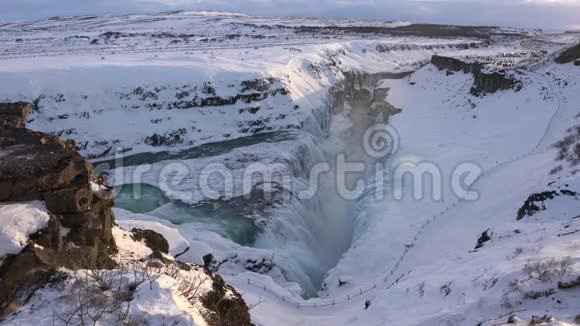 海鸥冰岛欧洲视频的预览图