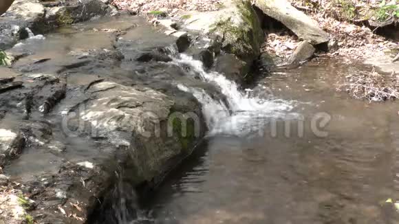 佐治亚州福特岛公园查塔霍切河附近小溪上的一个小瀑布视频的预览图