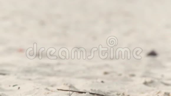 湿漉漉的女腿在沙子上走得很近光着脚的女人走在沙滩上低视角视频的预览图