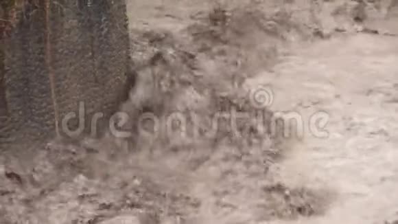 Semeru山河洪水流量视频的预览图