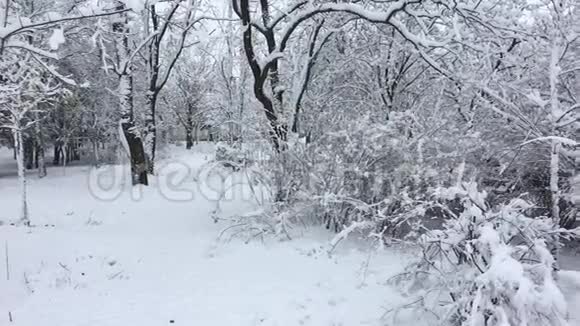 城市公园里的雪雪天视频的预览图