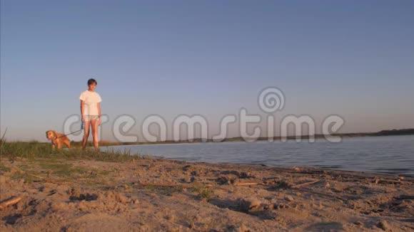 女孩在海滩上用皮带牵着她的狗在蓝天的背景下慢动作视频的预览图