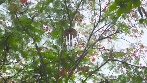 风铃挂在花园里的树上树枝上的风水风铃风水符号概念视频的预览图