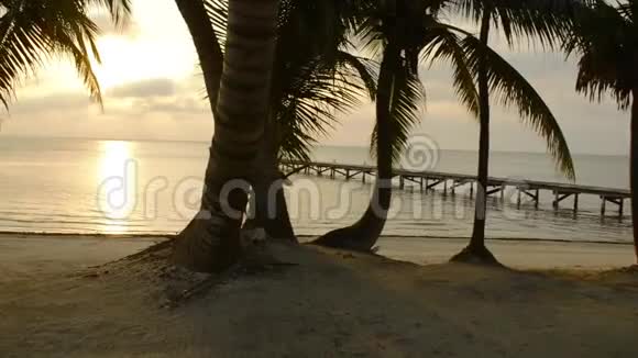 独木舟热带海滩现场视频的预览图