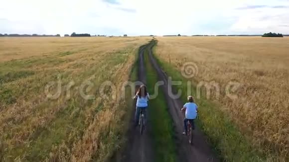 女孩和一个男人骑自行车沿着麦田和家人一起骑自行车旅行从高处看美丽的风景视频的预览图