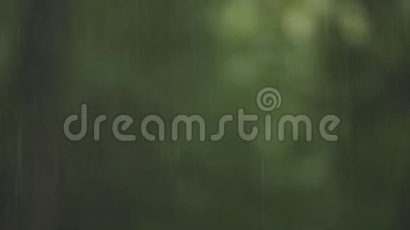柔和的绿色背景上的雨滴美丽模糊的自然雨纹春季视频的预览图