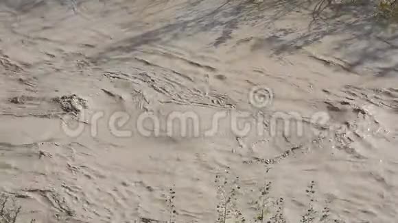暴雨过后卡洛尔河浑浊的水域中运送的碎片视频的预览图