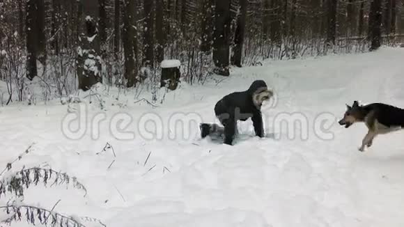 冬天树林里和狗玩耍的男孩视频的预览图