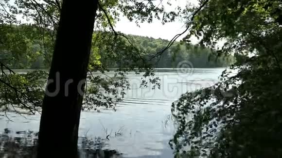 德国勃兰登堡托诺西湖的夏季山毛榉树博尔顿梅勒恩格尔的旅游目的地波顿磨坊视频的预览图