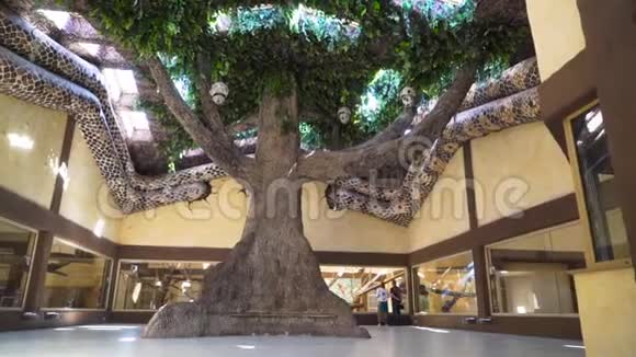 动物园大厅中央矗立着一棵大树视频的预览图