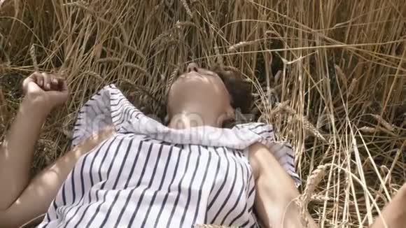 女孩躺在麦田里视频的预览图
