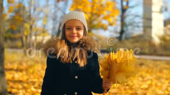 手里拿着黄叶的小女孩视频的预览图