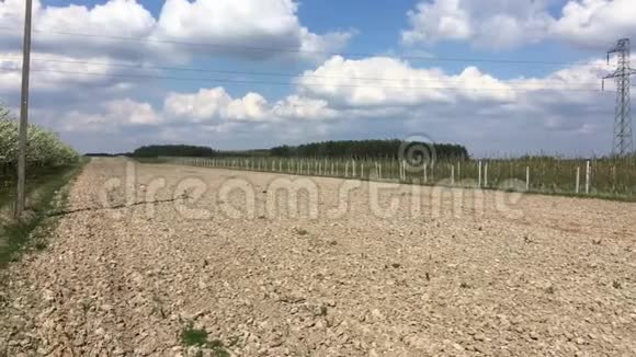 波兰的田野和蓝天视频的预览图