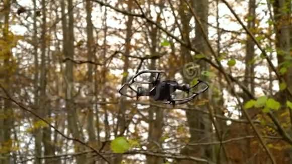 空中的四架直升机四架直升机在秋天的森林里拍摄视频视频的预览图