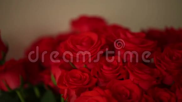 红玫瑰的气味视频的预览图