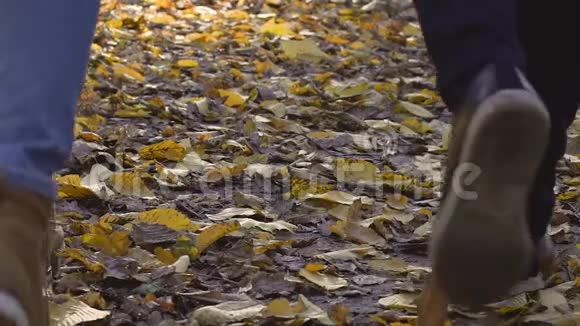 雌雄双脚在秋叶中缓缓行走公园清晨漫步约会视频的预览图
