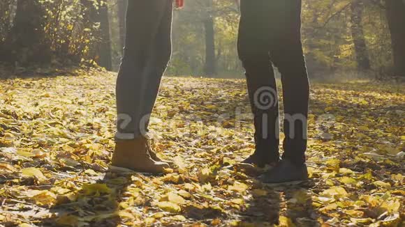 男朋友把心爱的女孩从树叶覆盖的地面上抬起来爱的人视频的预览图