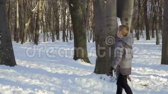 三个兄弟在冬季公园玩雪球慢动作视频的预览图