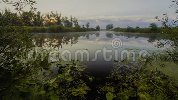 日出前的迷雾沼泽视频的预览图
