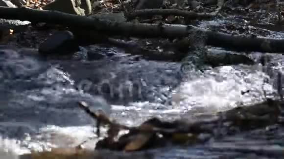 春林中溪视频的预览图