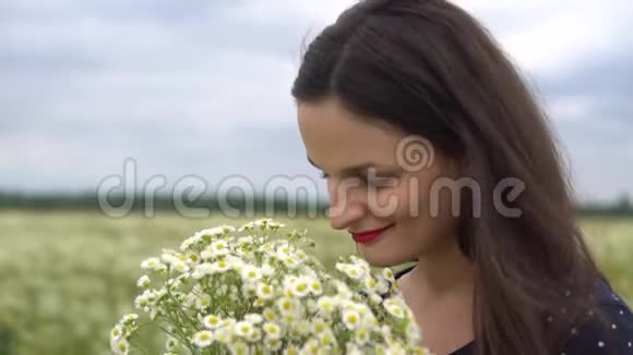 在夏天的户外美丽的女人闻着白色的骆驼视频的预览图