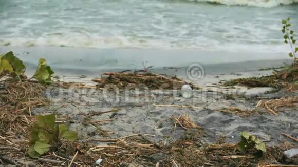 污染水溅到岸上危害健康造成环境灾害视频的预览图