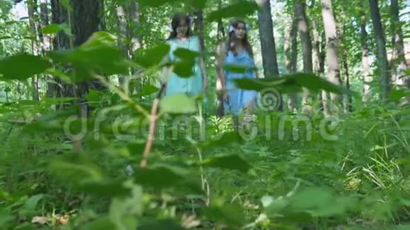 仙女们正在穿过树林视频的预览图
