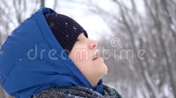 在冬天的森林里白雪皑皑的小男孩在欣赏画像视频的预览图