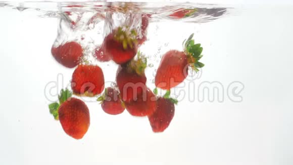 特写4k片新鲜草莓和覆盆子在白色背景下落入水中的画面视频的预览图