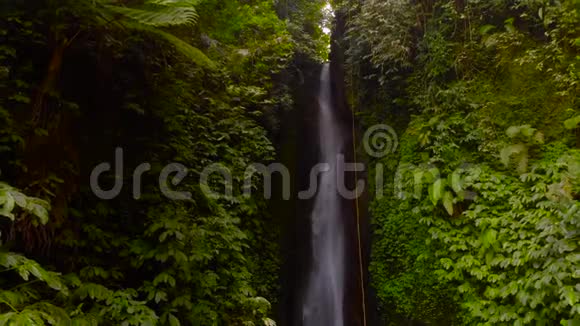 在印度尼西亚巴厘岛的丛林里的莱克勒克瀑布的鸟瞰图机器人向后移动摄像机向下倾斜视频的预览图