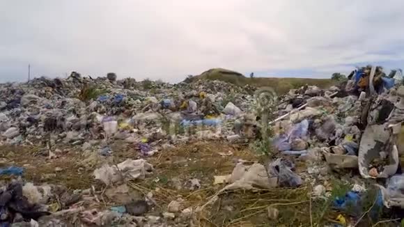 垃圾场上长满了绿色植物鸟瞰图视频的预览图