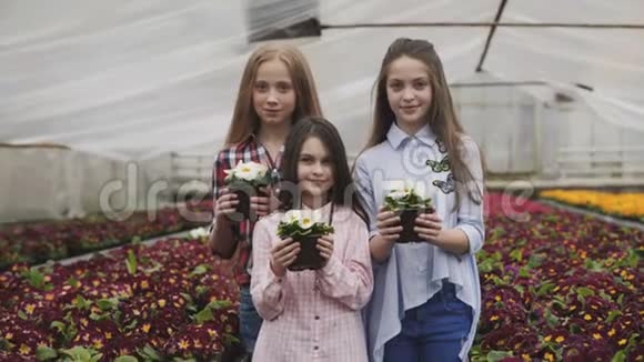 三个女孩笑着把花盆伸到摄像机前视频的预览图