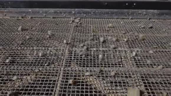 砂和地面的加工机器工作和输送线输送沙子露天矿关门视频的预览图