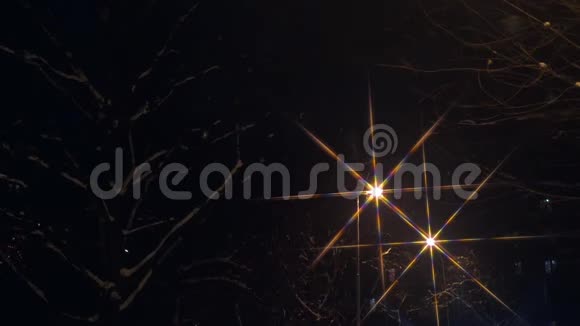 夜晚的灯笼和树视频的预览图