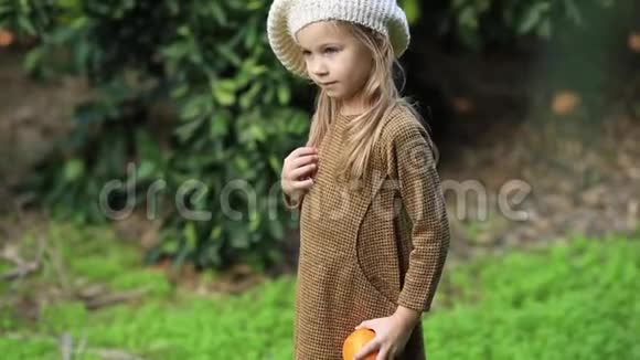 可爱的小女孩在意大利阳光明媚的橘子园采摘新鲜成熟的橘子视频的预览图