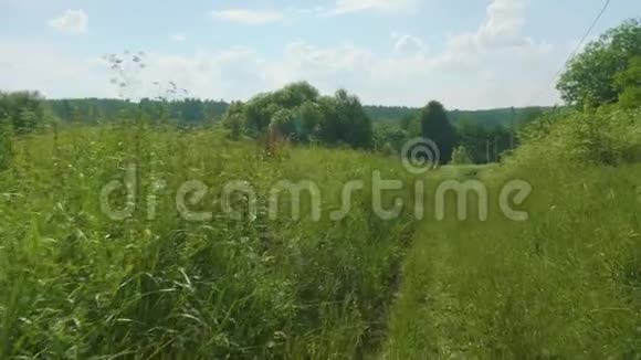 摄像机沿着乡间道路移动覆盖着厚厚的绿草和灌木视频的预览图